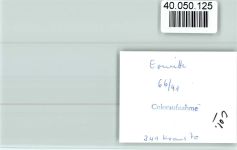 59597 W4782 Erwitte FOTO KEINE AK Blick zur Kirche