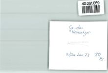 29690 W3033 Grindau FOTO KEINE AK Heimatzoo, Eselausritt