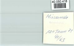 24354 W2332 Missunde FOTO KEINE AK Strand