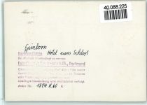 51709 W5277 Gimborn b Gimborn FOTO KEINE AK Hotel zum Schloß