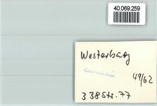 56457 W5438 Westerburg , Westerw FOTO KEINE AK Ortsansicht