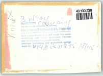56859 W5584 Bullay FOTO KEINE AK Camping Moselstrand