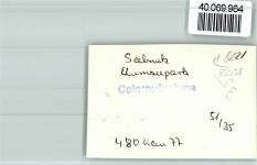 83358 W8221 Seebruck , Chiemsee FOTO KEINE AK Chiemseepark