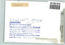 67574 W6522 Osthofen , Rheinhess FOTO KEINE AK Weingrosshandlung Friedrich Weidmann Mainzer Straße