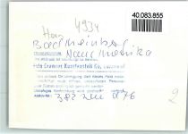 32805 W4934 Horn-Bad Meinberg FOTO KEINE AK Haus Monika