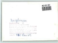 29646 W3045 Bispingen FOTO KEINE AK