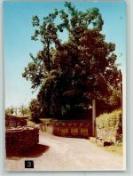 69429 W6935 Waldkatzenbach FOTO KEINE AK Ehrenmal