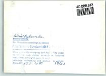 69429 W6935 Waldkatzenbach FOTO KEINE AK Ehrenmal