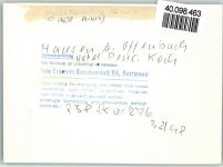 63179 W6053 Hausen , Kr Offenbach am Main FOTO KEINE AK Hotel Pension Koch Innenaufnahme Einzelzimmer