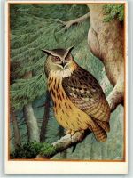 .Uhu (Bubo bubo), verein zum Schutze der alpenplanzen und -Tiere E.V, gute Erhaltung Eule