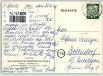 .Uhu (Bubo bubo), verein zum Schutze der alpenplanzen und -Tiere E.V, gute Erhaltung Eule