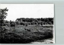48683 W4422 Ottenstein , Westf - Foto