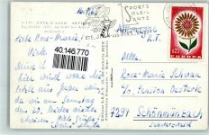 06160 Antibes - Pinien und verschneite Berggipfel