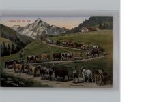 Aufzug in die Alm Berghumor