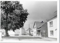 56357 W5429 Marienfels - Foto-Karte