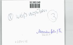 56357 W5429 Marienfels - Foto-Karte