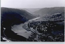 56841 W5580 Wolf , Mosel - Foto