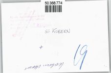 56332 W5401 Dieblich - Foto