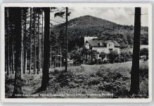 98593 O6084 Floh - Hotel Grenzwiese