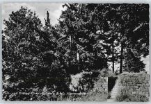 54655 W5524 Kyllburg