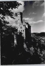 72805 W7414 Honau , Württ - Schloss Berg Baum
