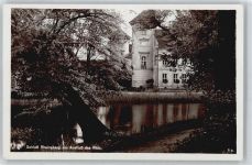 16818 O1950 Rheinsberg - Teich Schloss Baum