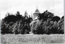 29451 W3138 Dannenberg (Elbe) - Wiese Haus Baum