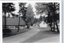 35099 W3559 Industriehof b Frankenberg, Eder - Foto Straße Baum