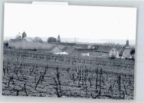 67592 W6523 Flörsheim-Dalsheim - Foto-Karte