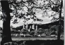 56653 W5471 Maria Laach , Eifel - Kuhweide