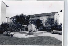 65843 W6231 Sulzbach (Taunus) - Foto Bank Baum Haus