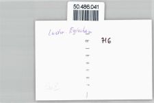 71634 W7140 Eglosheim - Foto-Karte