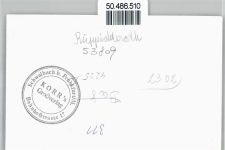 53809 W5207 Ruppichteroth - Foto-Karte