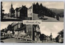 98701 O6314 Neustadt a Rennsteig - Siedlung, Kühe, Kirche