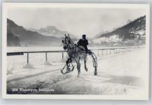 Wintersport , Foto-Karte Trabrennen