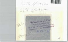 24568 W2358 Nützen FOTO KEINE AK Foto mit Negativ