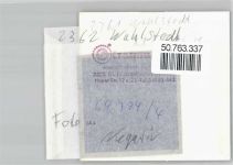 23812 W2362 Wahlstedt FOTO KEINE AK Foto mit Negativ, Schwimmbad