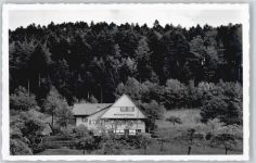 72250 W7290 Bad Peterstal - Wald-Restaurant Palmspring