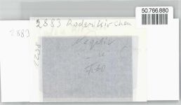 26935 W2883 Rodenkirchen , Kr Wesermarsch FOTO KEINE AK Foto mit Negativ, Bootshafen