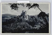 76891 W6749 Berwartstein b Bad Bergzabern - Panorama Burg
