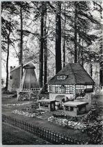 49214 W4502 Bad Rothenfelde - Kinder-Traumwald, Windmühle