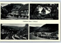 37447 W3426 Wieda - Wache, Kuhherde, Glockenturm, Waldstraße, Teilansicht