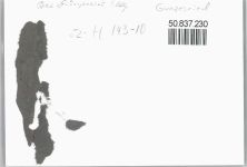 87544 W8976 Gunzesried - Fliegeraufnahme , Foto