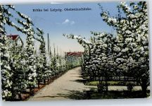 04571 O7209 Rötha - Obstweinschänke