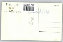 06420 O4340 Könnern - Foto-Aufnahme, Fastnacht, Karnevals-Umzug