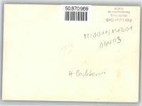 06493 O4301 Alexisbad - Kuhausstellung , Foto