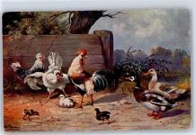 Ente , Hühner Schönian, A. Gebrauchsspuren