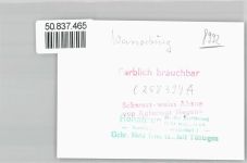 88142 W8992 Wasserburg (Bodensee) - Hafen , Foto