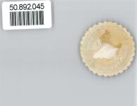 16515 O1401 Wittenberg - Siegel/Wappen Landrat