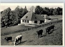 64397 W6101 Neutsch - Landhaus Am kleinen Wäldchen
